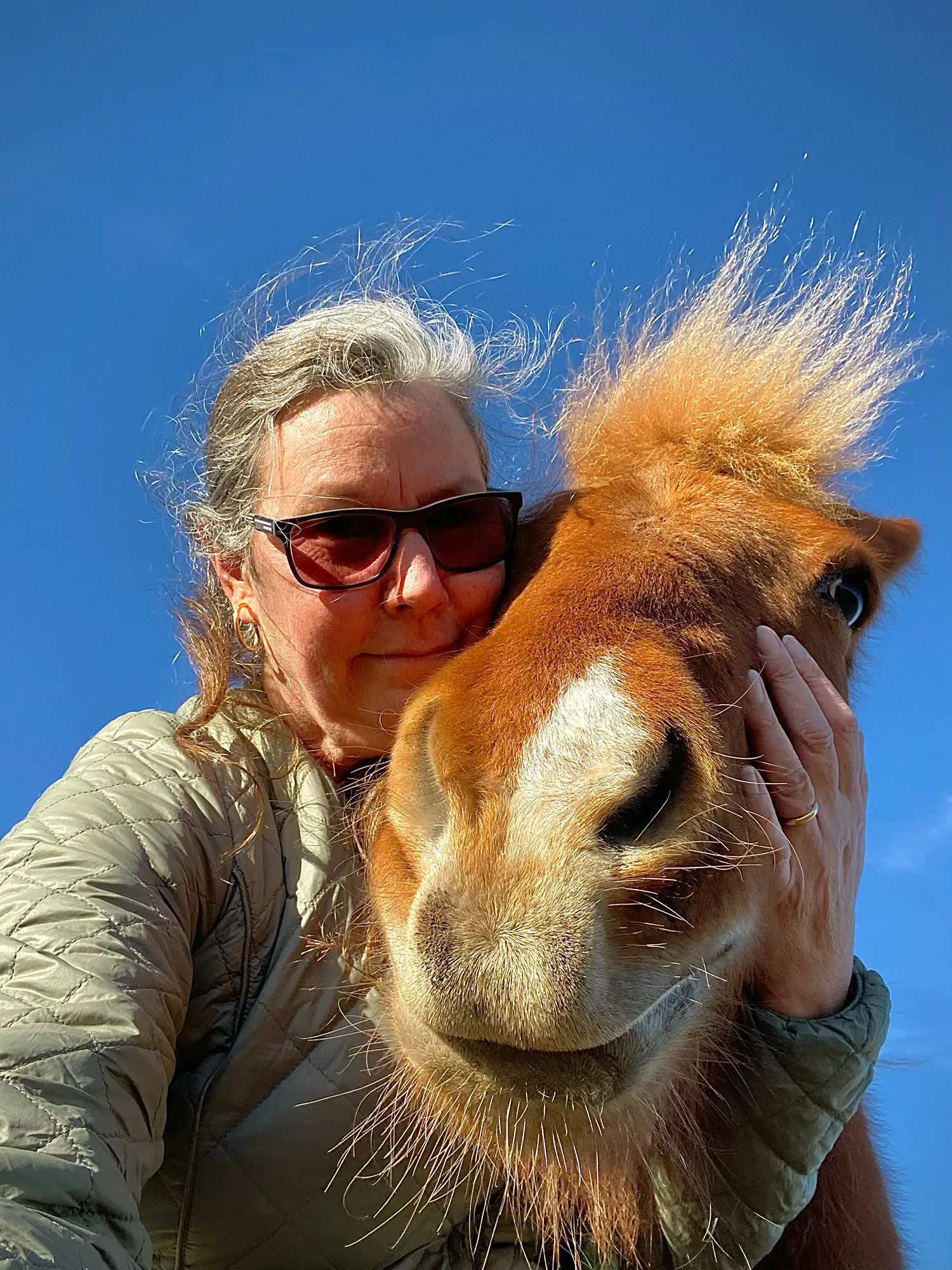 selfie with horse